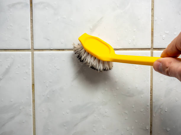 Best Residential Mold Remediation in Fort Atkinson, WI