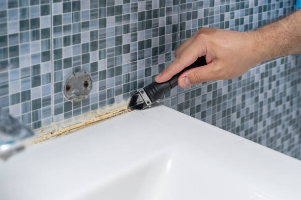 Best Basement Mold Remediation in Fort Atkinson, WI