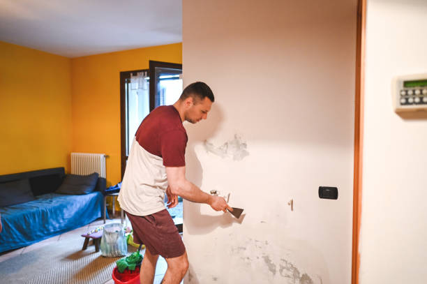 Best Insurance-Related Mold Remediation in Fort Atkinson, WI