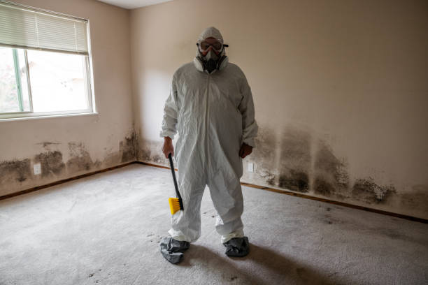 Best Basement Mold Remediation in Fort Atkinson, WI
